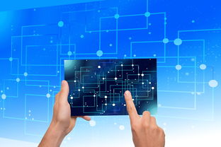 星空app官网下载-中国篮球教练员战术执行力提升路径及方法研究，如何提高篮球教练员水平